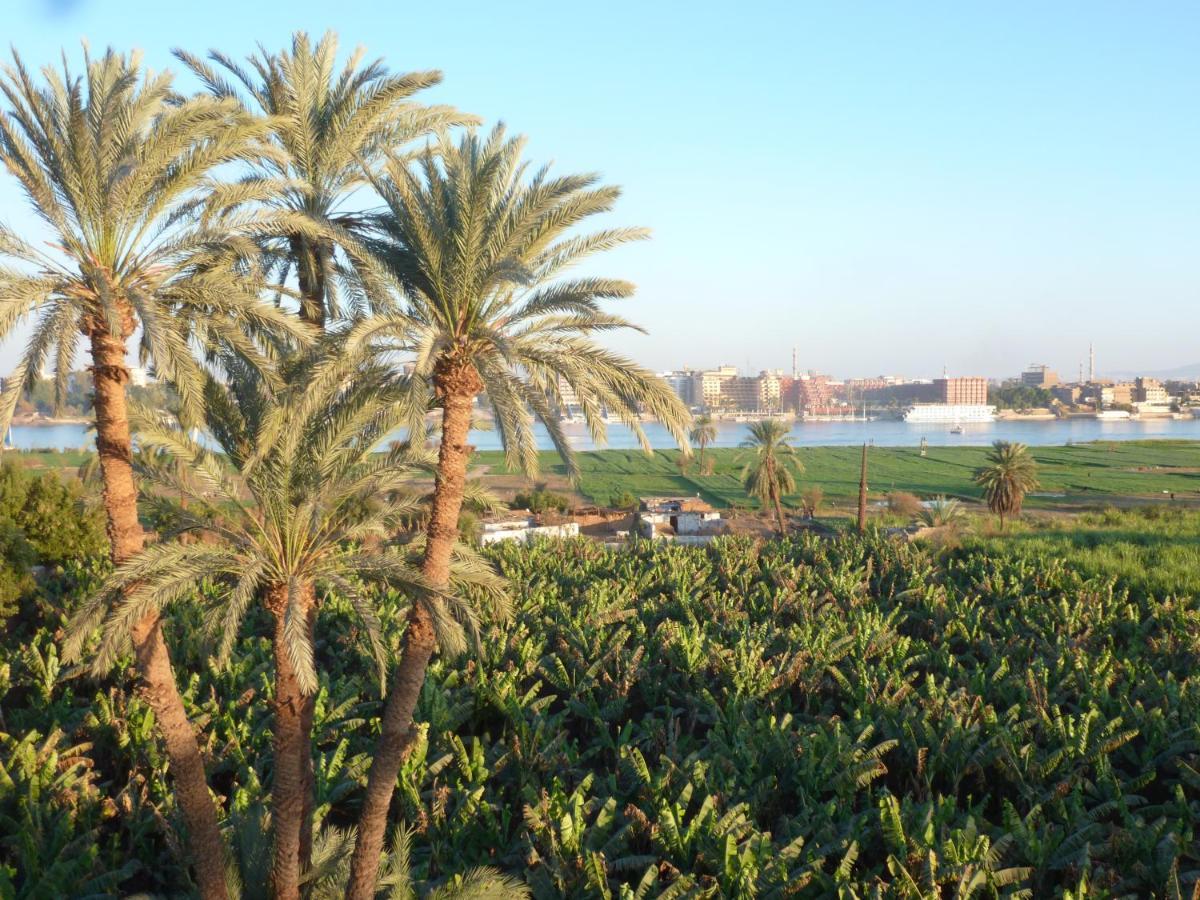 Dream Island Hotel Luxor Exterior photo